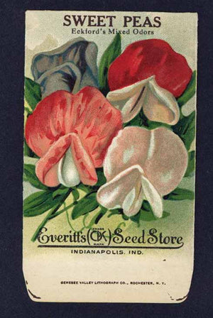 Sweet Peas Antique Everitt's Seed Packet, Eckford's Mixed Odors