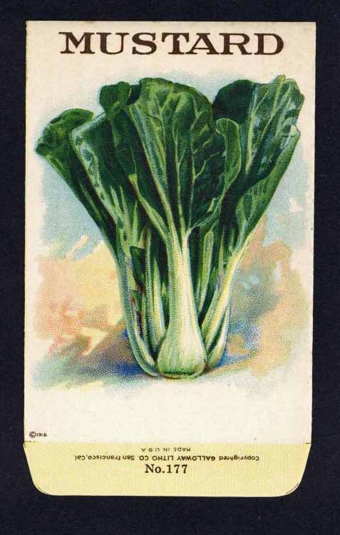 Mustard Antique Stock Seed Packet