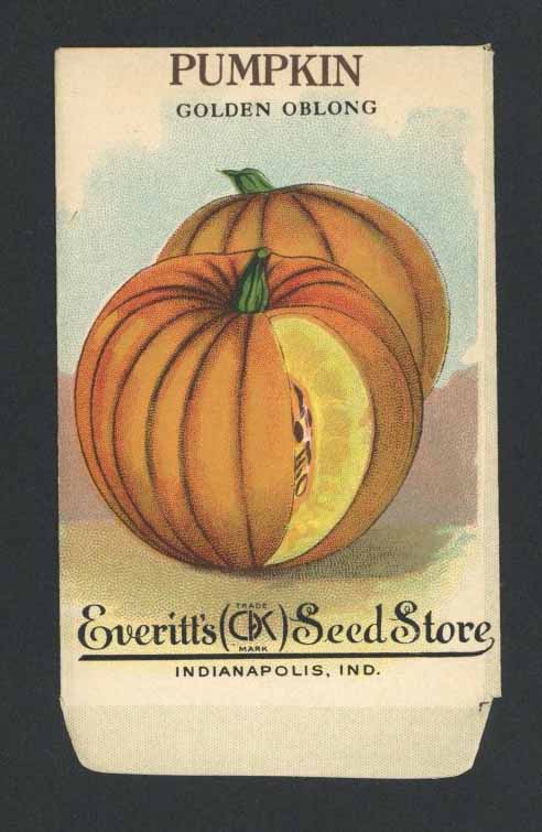 Pumpkin Antique Everitt's Seed Packet