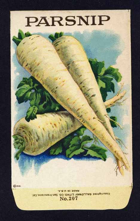 Parsnip Antique Stock Seed Packet