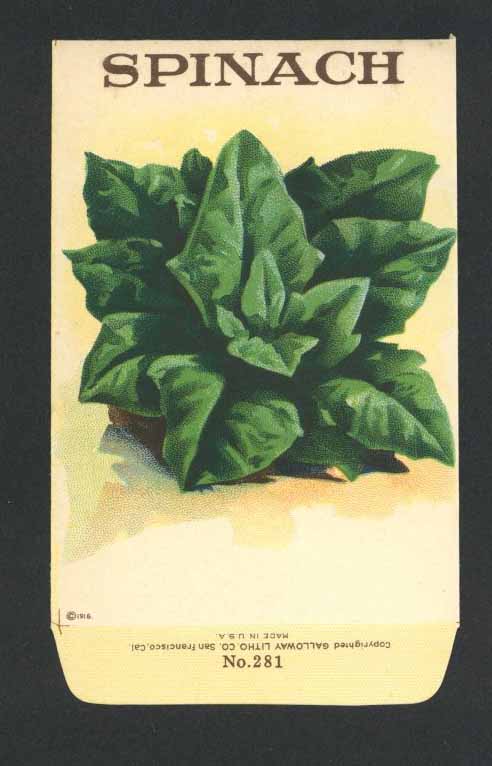 Spinach Antique Stock Seed Packet