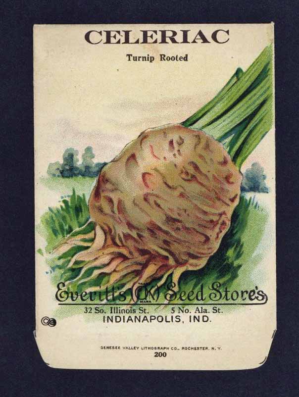 Celeriac Antique Everitt's Seed Packet