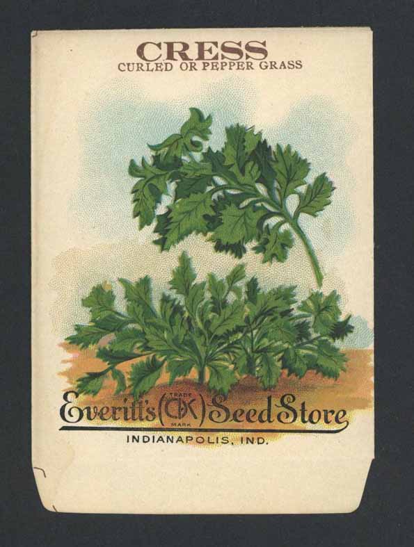 Cress Antique Everitt's Seed Packet