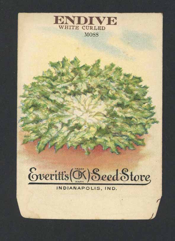 Endive Antique Everitt's Seed Packet