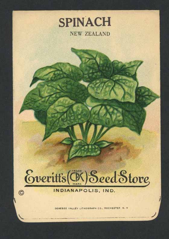 Spinach Antique Everitt's Seed Packet, New Zealand