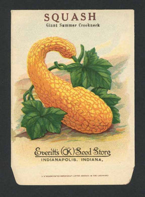 Squash Antique Everitt's Seed Packet, Summer Crookneck