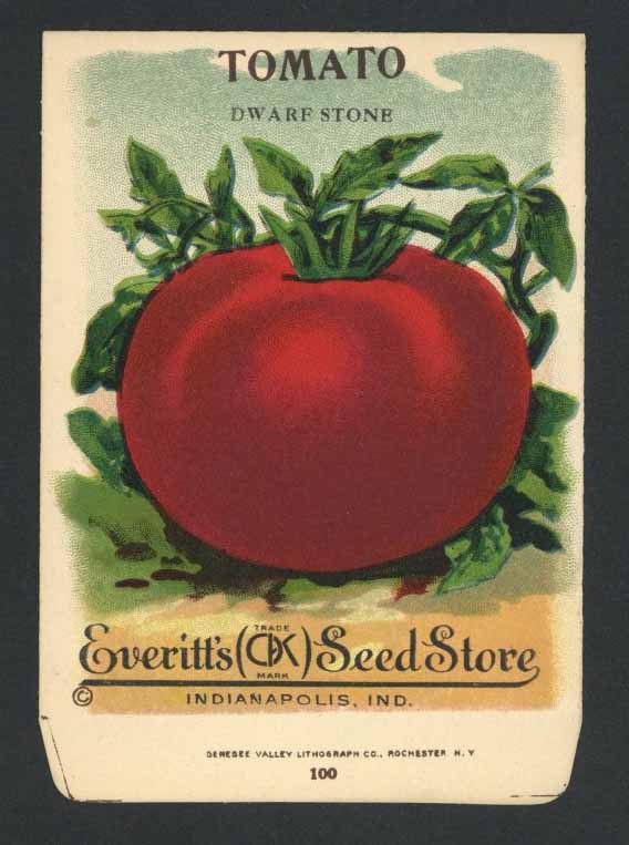 Tomato Antique Everitt's Seed Packet, Dwarf Stone, L
