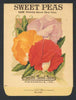 Sweet Peas Antique Everitt's Seed Pack, Spencer Many Colors