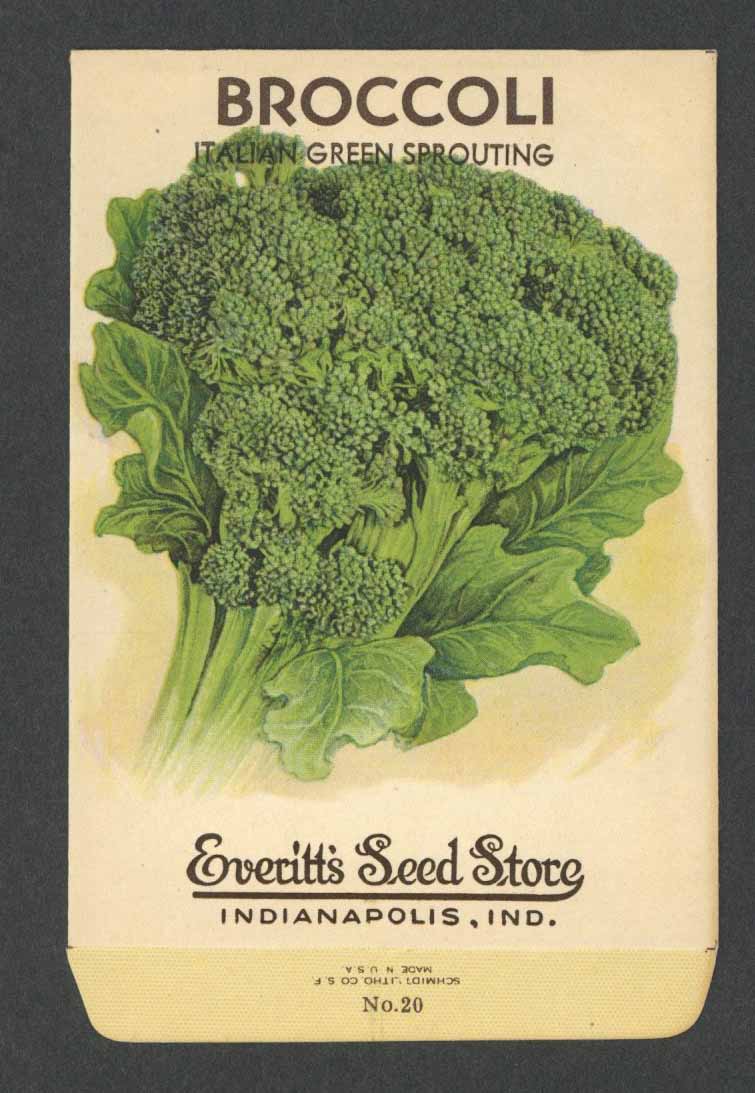 Broccoli Vintage Everitt's Seed Packet, Italian Green Sprouting