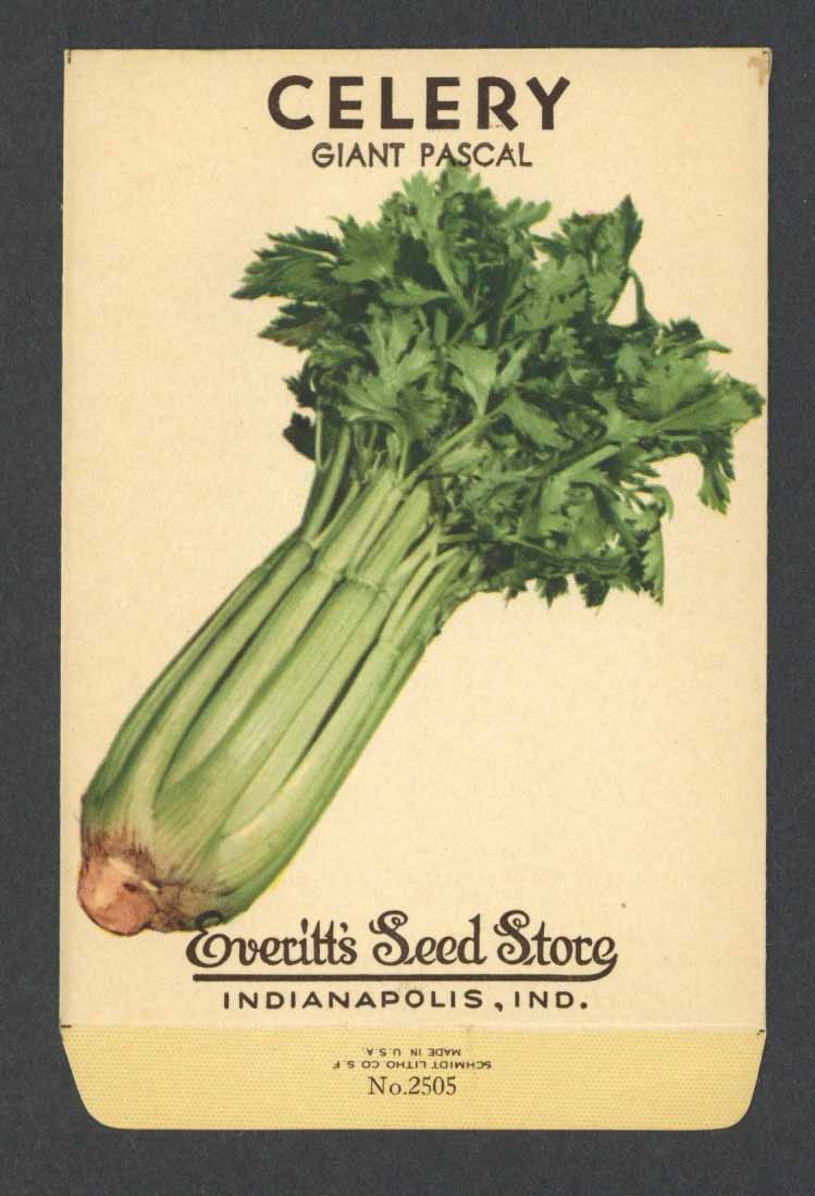 Celery Vintage Everitt's Seed Packet, Giant Pascal