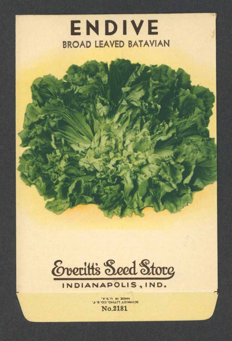 Endive Vintage Everitt's Seed Packet, Broad Leaved Batavian