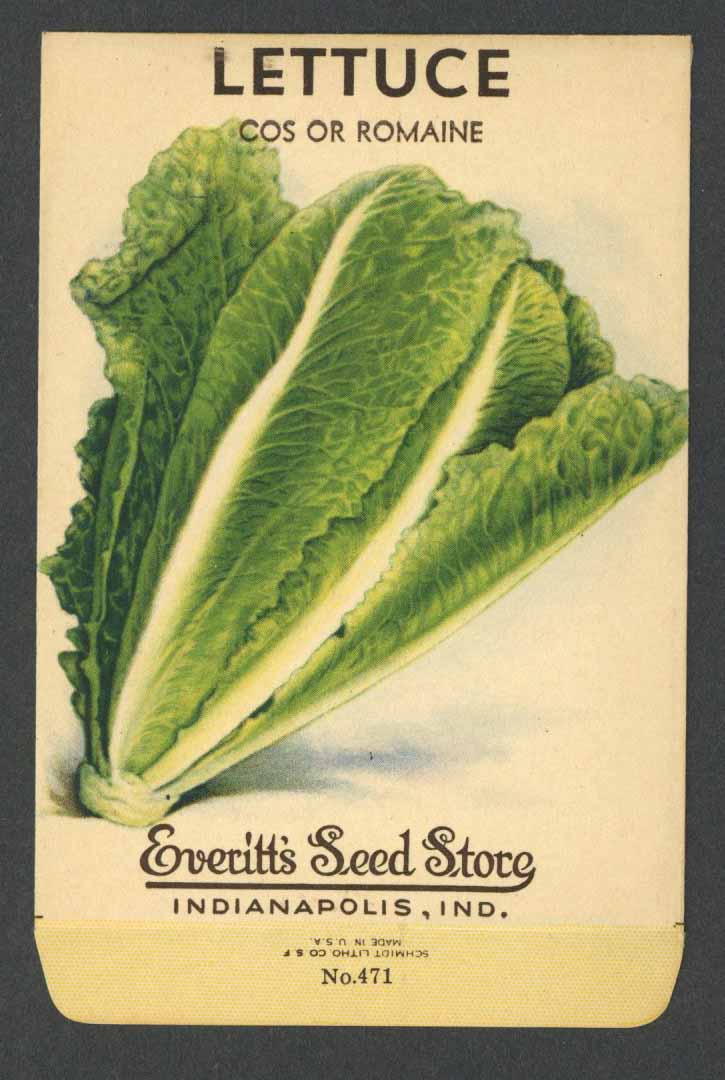 Lettuce Vintage Everitt's Seed Packet, Cos or Romaine
