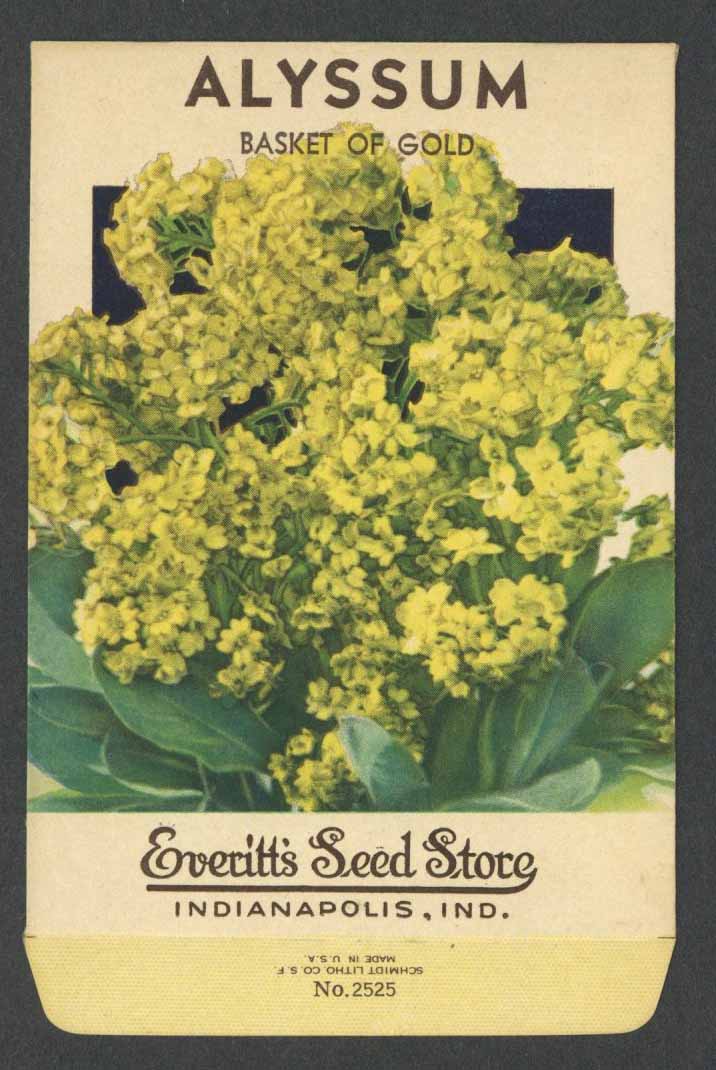 Alyssum Vintage Everitt's Seed Packet, Basket of Gold