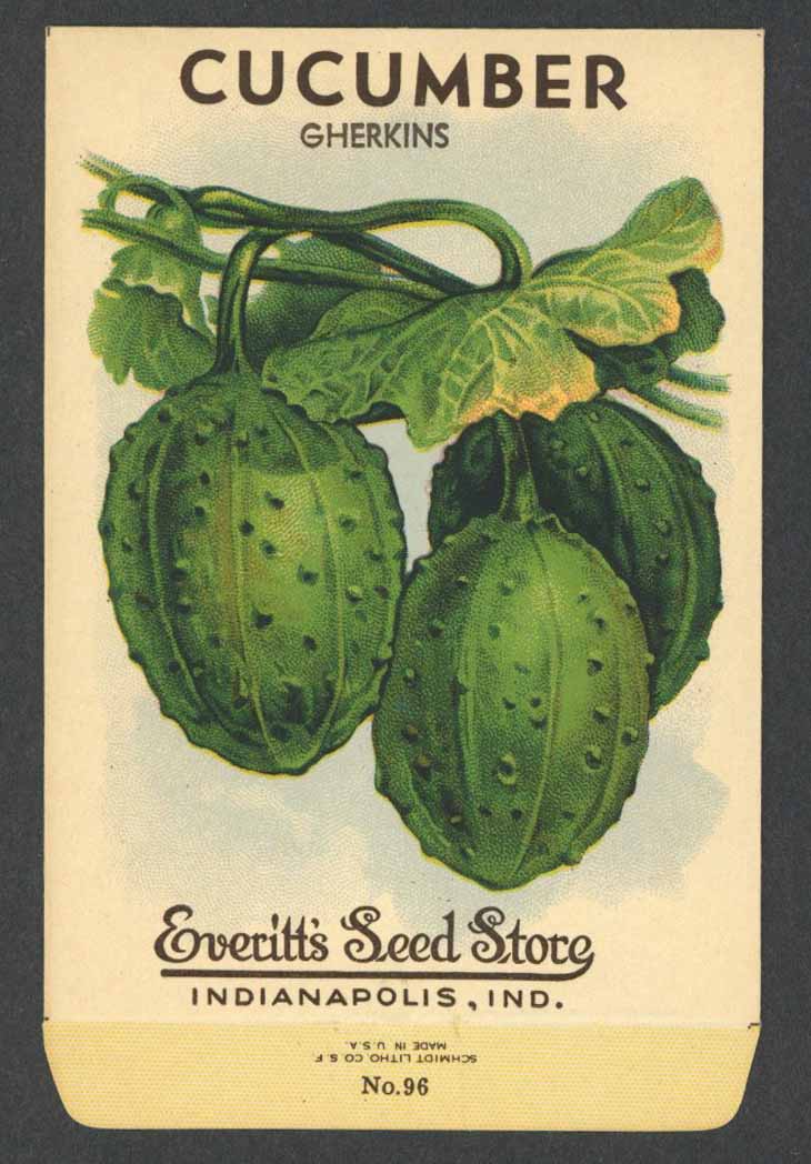 Cucumber Antique Everitt's Seed Packet, Gherkins