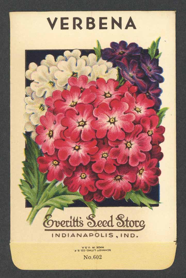 Verbena Antique Everitt's Seed Packet