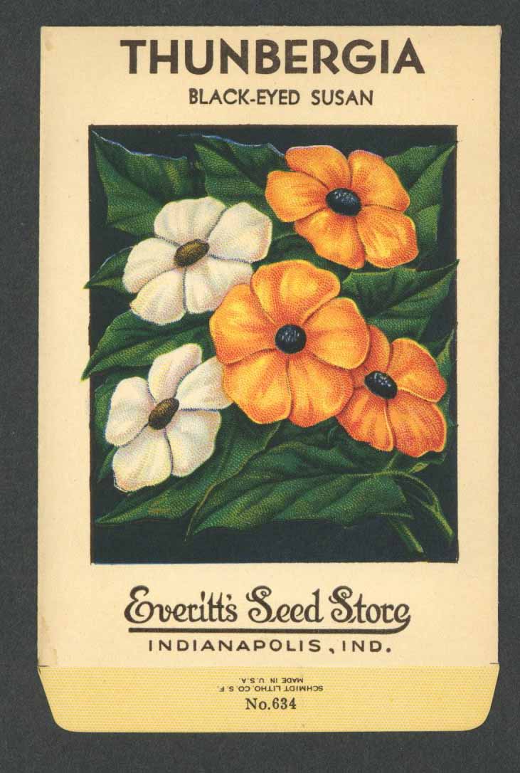 Thunbergia Antique Everitt's Seed Packet, Black Eyed Susan