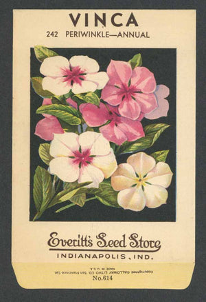 Vinca Antique Everitt's Seed Packet, Periwinkle