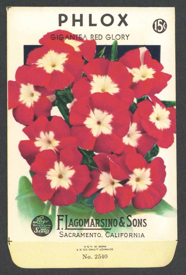 Phlox Vintage Lagomarsino Seed Packet, Red Glory