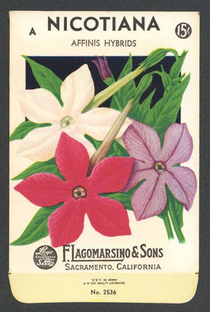 Nicotiana Vintage Lagomarsino Seed Packet
