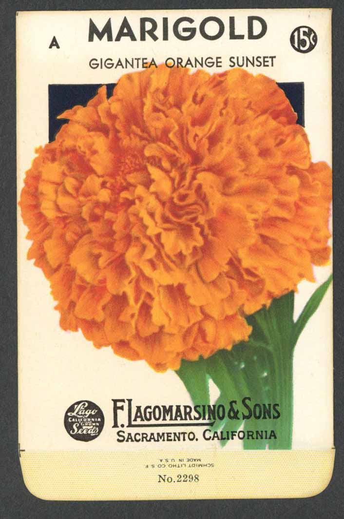 old marigold seeds Marigold Vintage Lagomarsino Seed Packet, Sunset – thelabelman