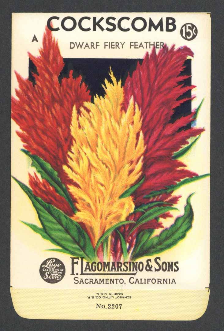 Cockscomb Vintage Lagomarsino Seed Packet