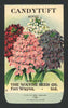 Candytuft Antique Wayne Seed Co. Packet