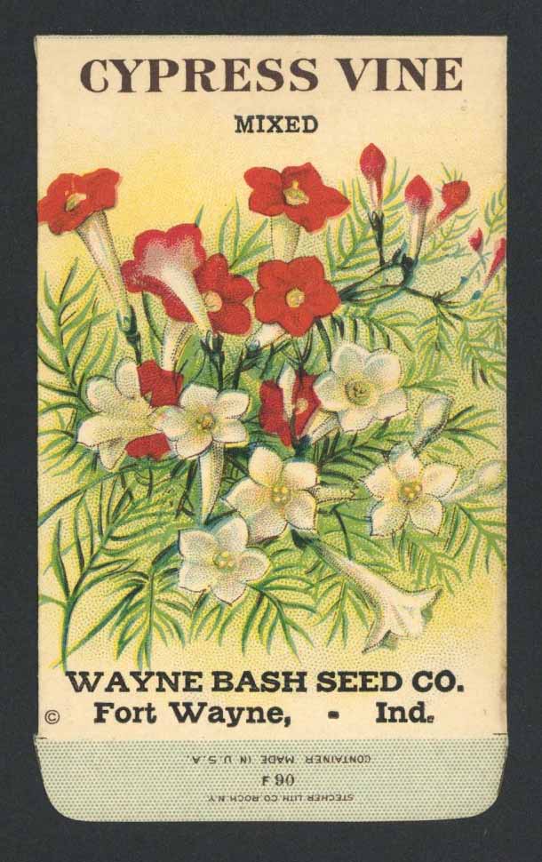 Cypress Vine Antique Wayne Bash Seed Co. Packet
