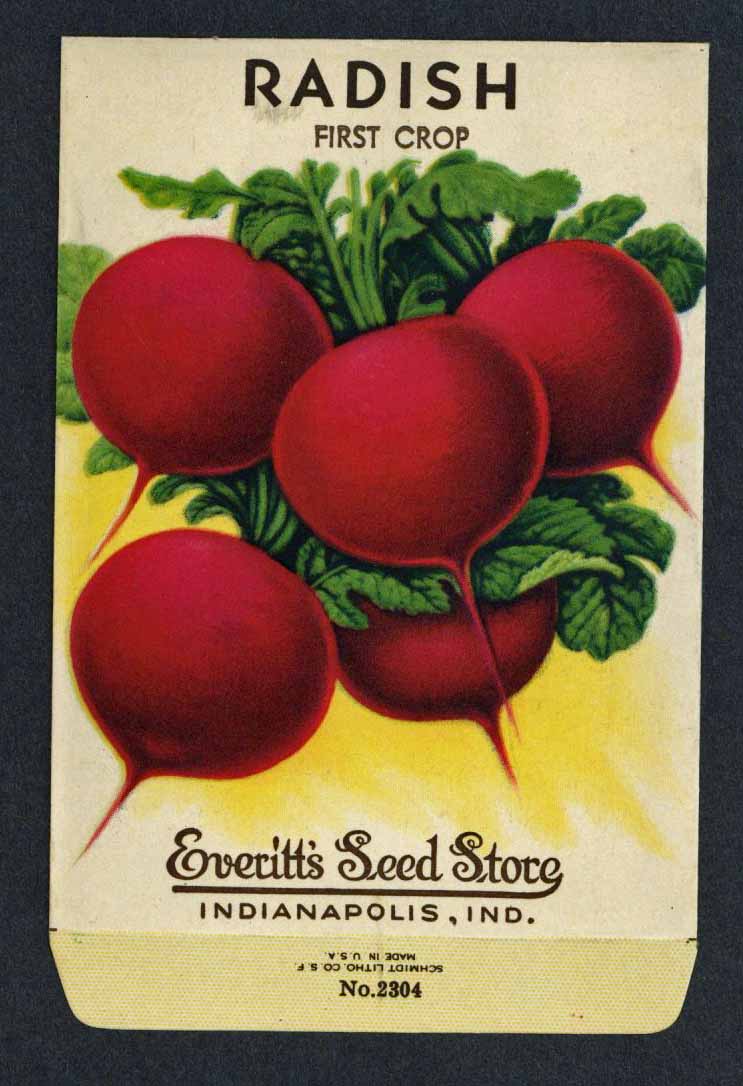 Arctotis Vintage Huth Seed Co. Seed Packet – thelabelman