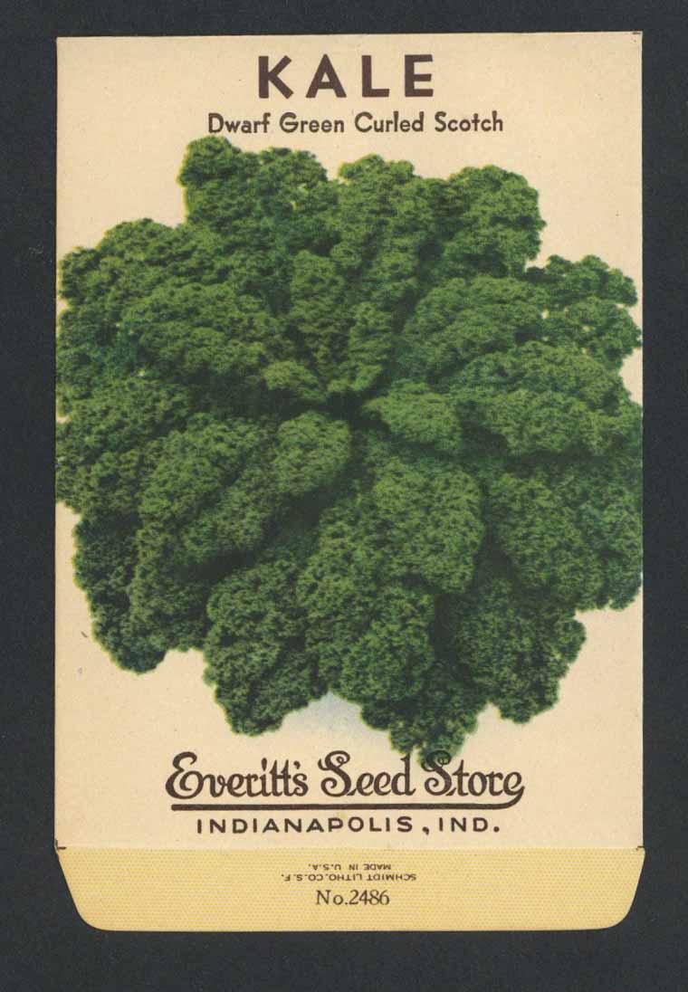 Kale Vintage Everitt's Seed Packet, Curled Scotch