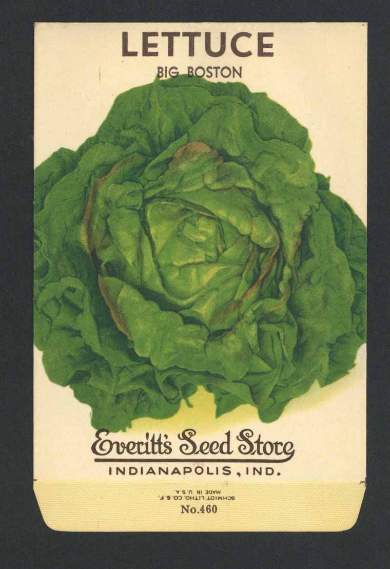 Lettuce Vintage Everitt's Seed Packet, Big Boston