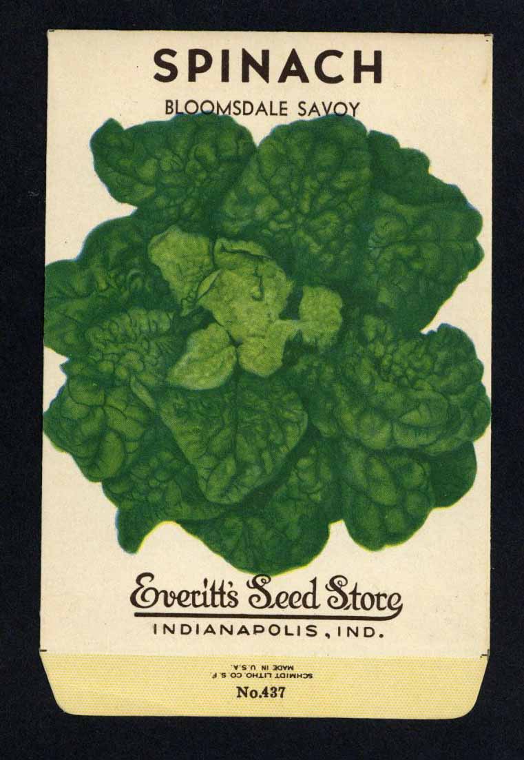 Spinach Vintage Everitt's Seed Packet, Bloomsdale