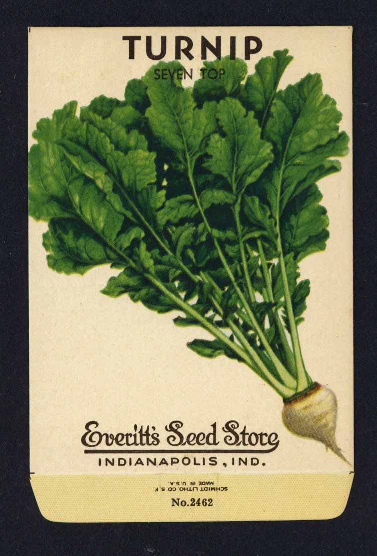 Turnip Vintage Everitt's Seed Packet, Seven Top
