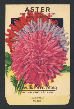 Aster Vintage Everitt's Seed Packet, Mixed Colors
