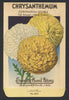 Chrysanthemum Vintage Everitt's Seed Packet