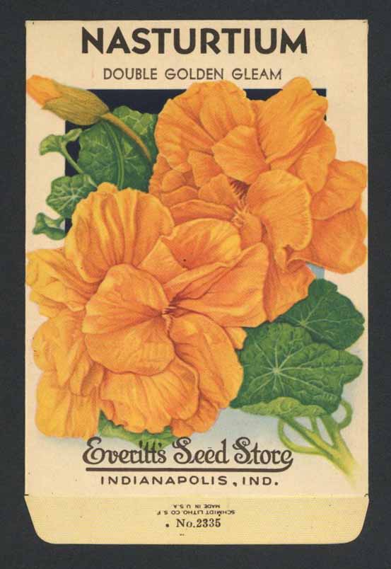 Nasturtium Vintage Everitt's Seed Packet, Golden Gleam