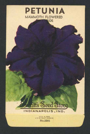 Petunia Vintage Everitt's Seed Packet, Mammoth Flowered