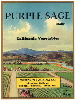 Purple Sage Brand Vintage Vegetable Crate Label