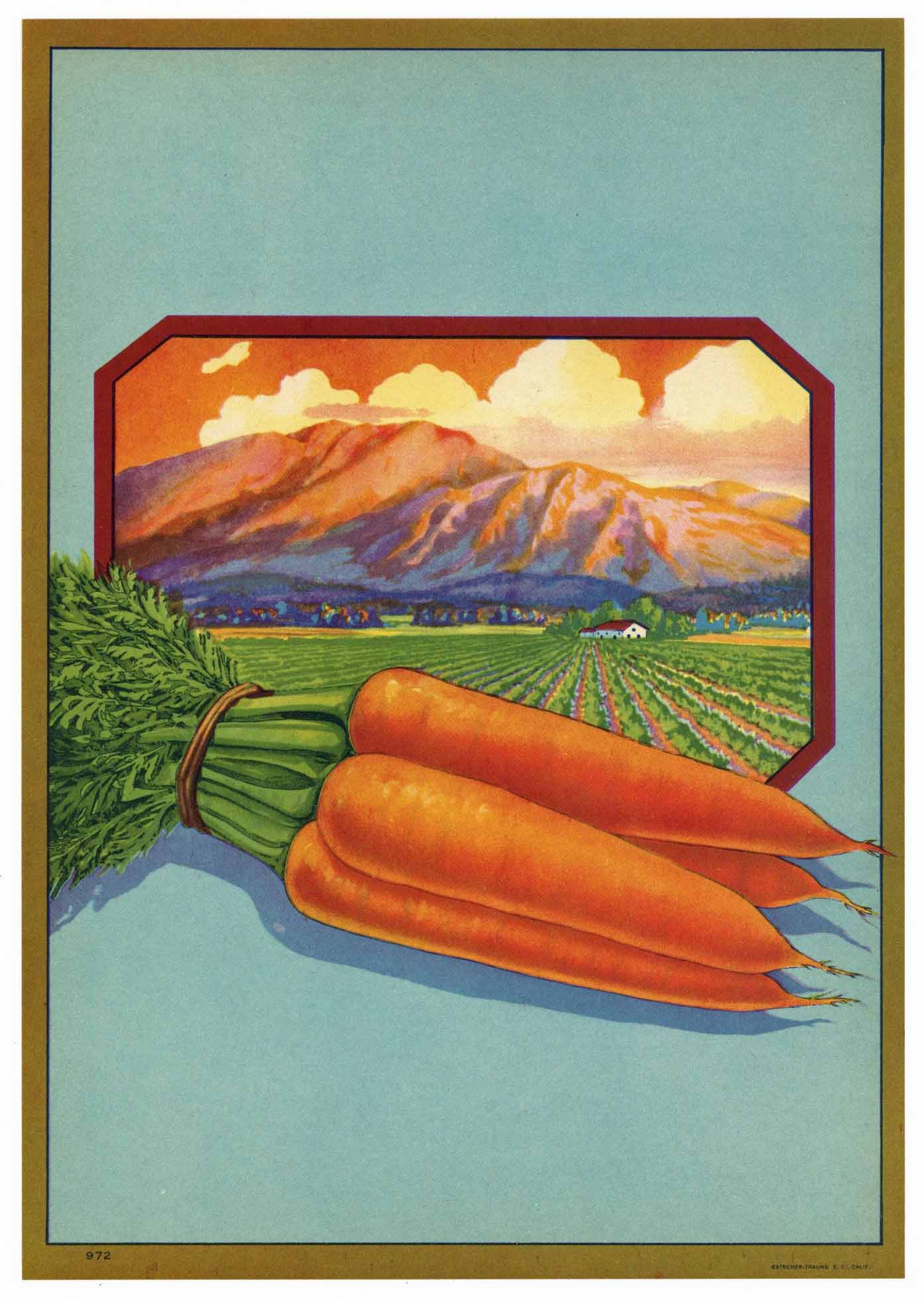 Stock #972 Vintage Vegetable Crate Label, carrots