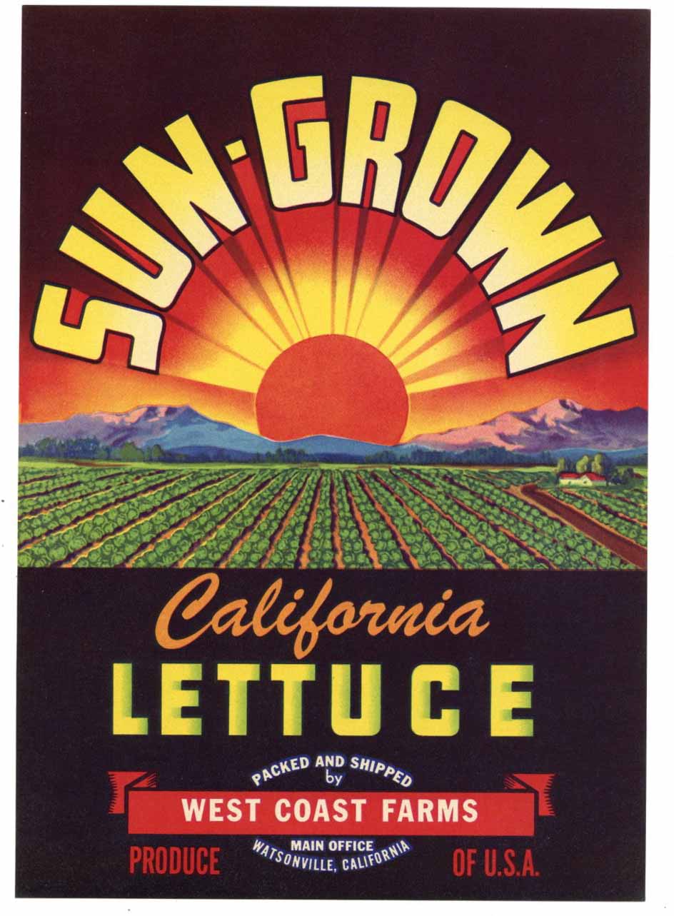 Sun-Grown Brand Vintage Watsonville Vegetable Crate Label