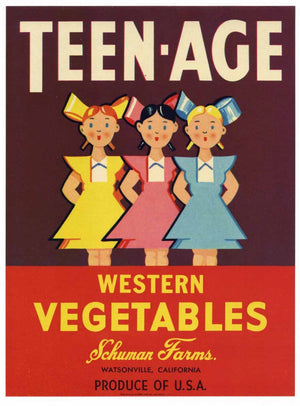 Teen-Age Brand Vintage Watsonville Vegetable Crate Label