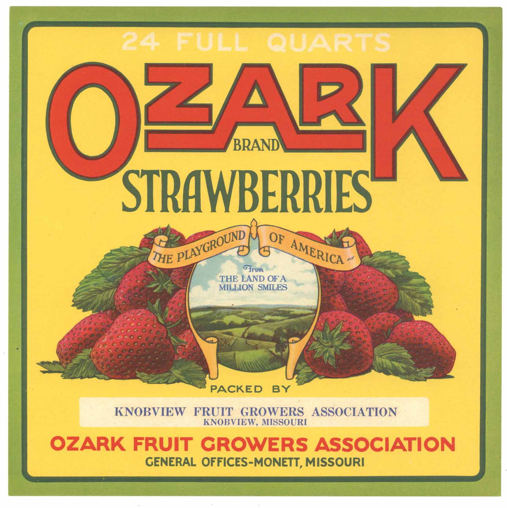 Ozark Brand Vintage Monett Missouri Strawberry Crate Label