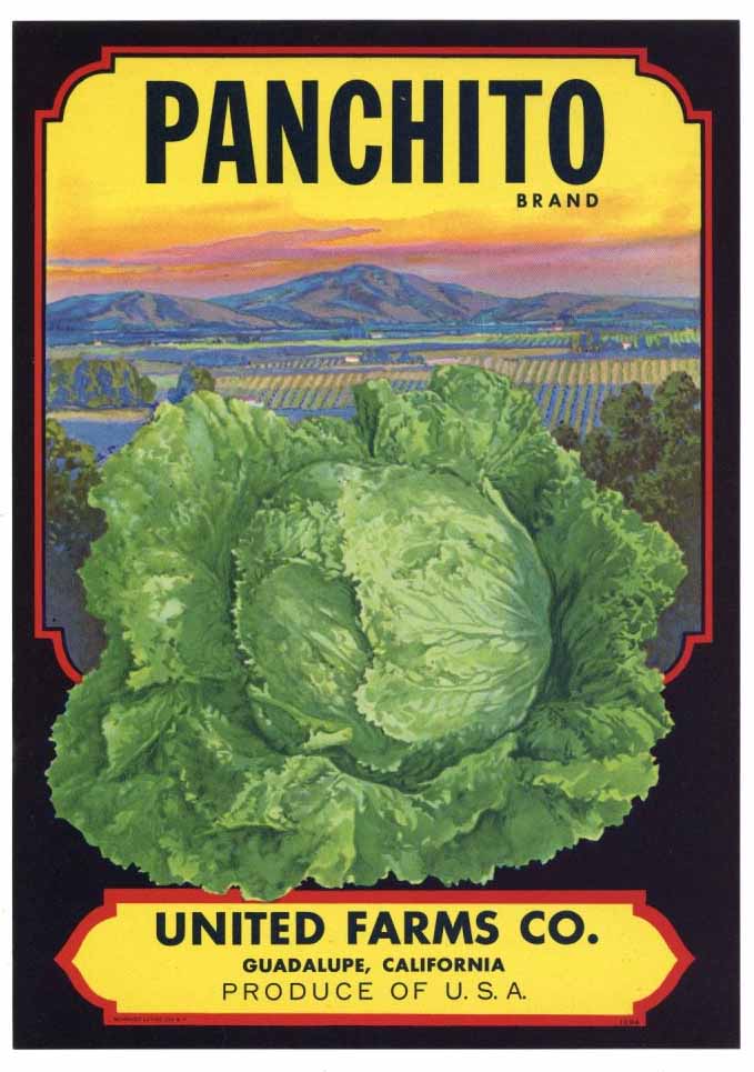 Panchito Brand Vintage Santa Barbara County Vegetable Crate Label