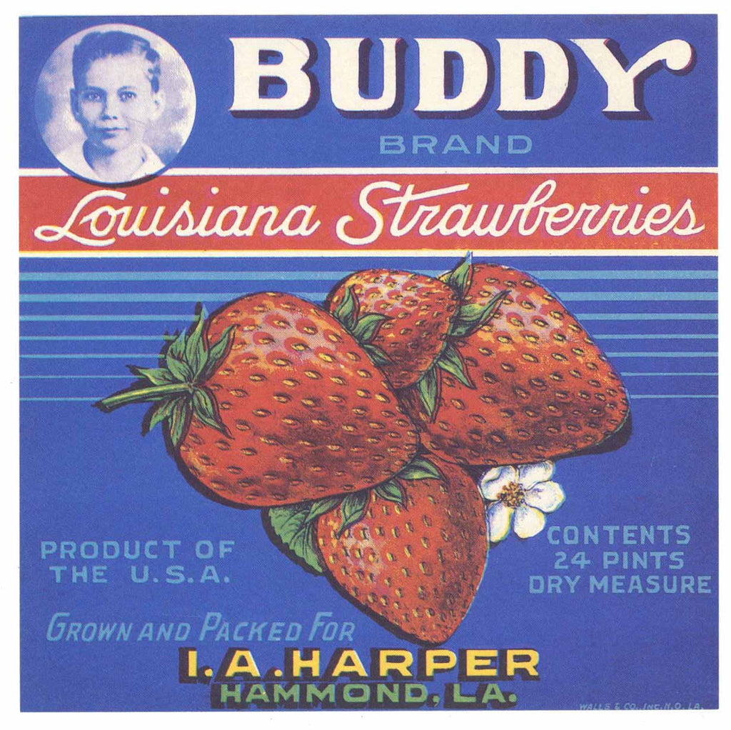 Buddy Brand Vintage Hammond, Louisiana Crate Label