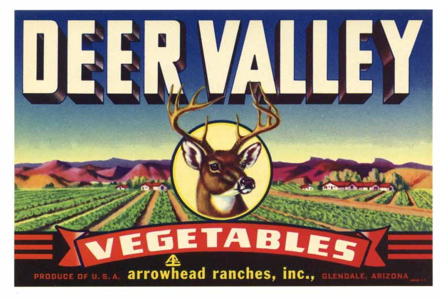 Deer Valley Brand Vintage Arizona Produce Crate Label, s
