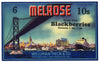 Melrose Brand Vintage Blackberry Can Label