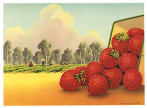 Stock Vintage Strawberry Crate Label, Basket