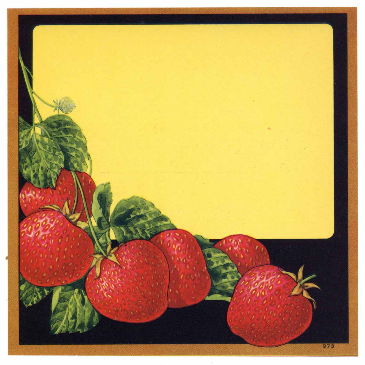 Stock #973 Vintage Strawberry Crate Label, Basket – thelabelman