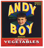 Andy Boy Brand Vintage Salinas Vegetable Crate Label