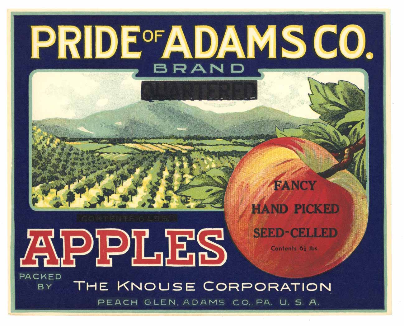 Pride Of Adams Co. Brand Vintage Pennsylvania Apple Can Label