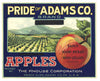 Pride Of Adams Co. Brand Vintage Pennsylvania Apple Can Label